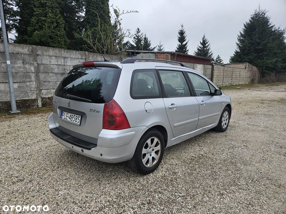 Peugeot 307 - 5
