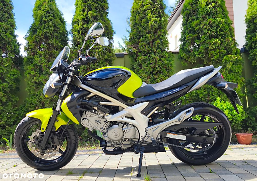 Suzuki Gladius - 2
