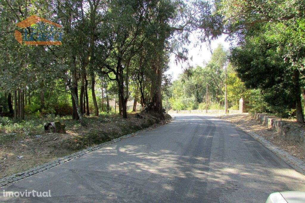 Terreno Grijo, para a contrução de Moradia de 4 frentes - Grande imagem: 4/11