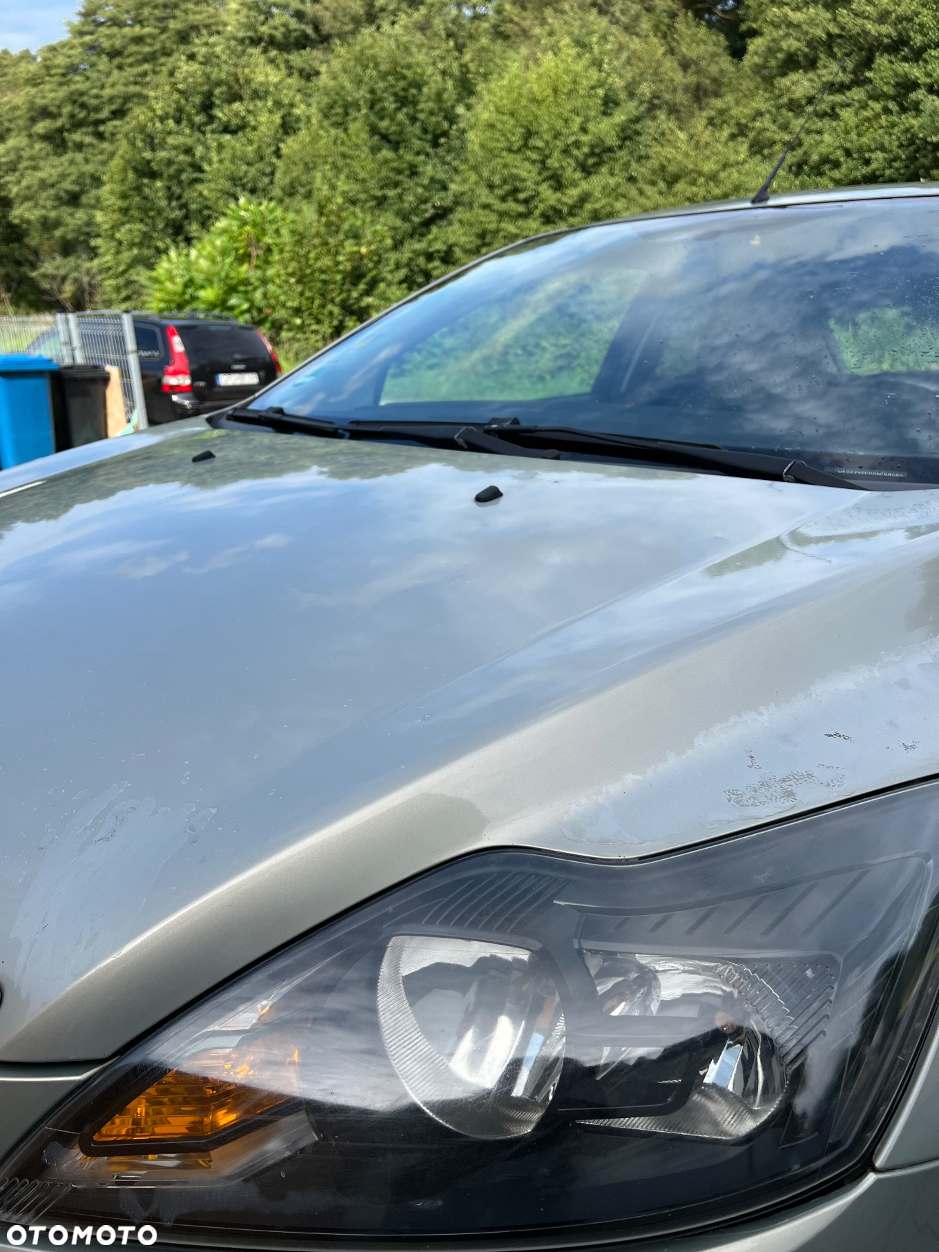 Ford Focus - 15