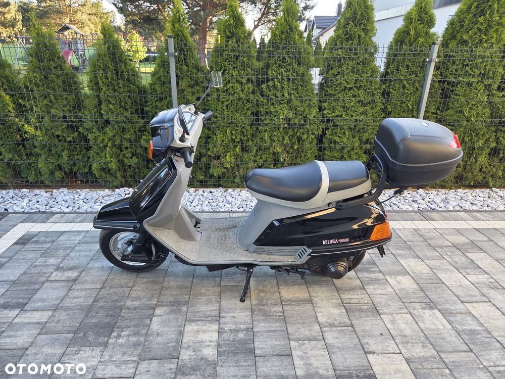 Yamaha Beluga - 16