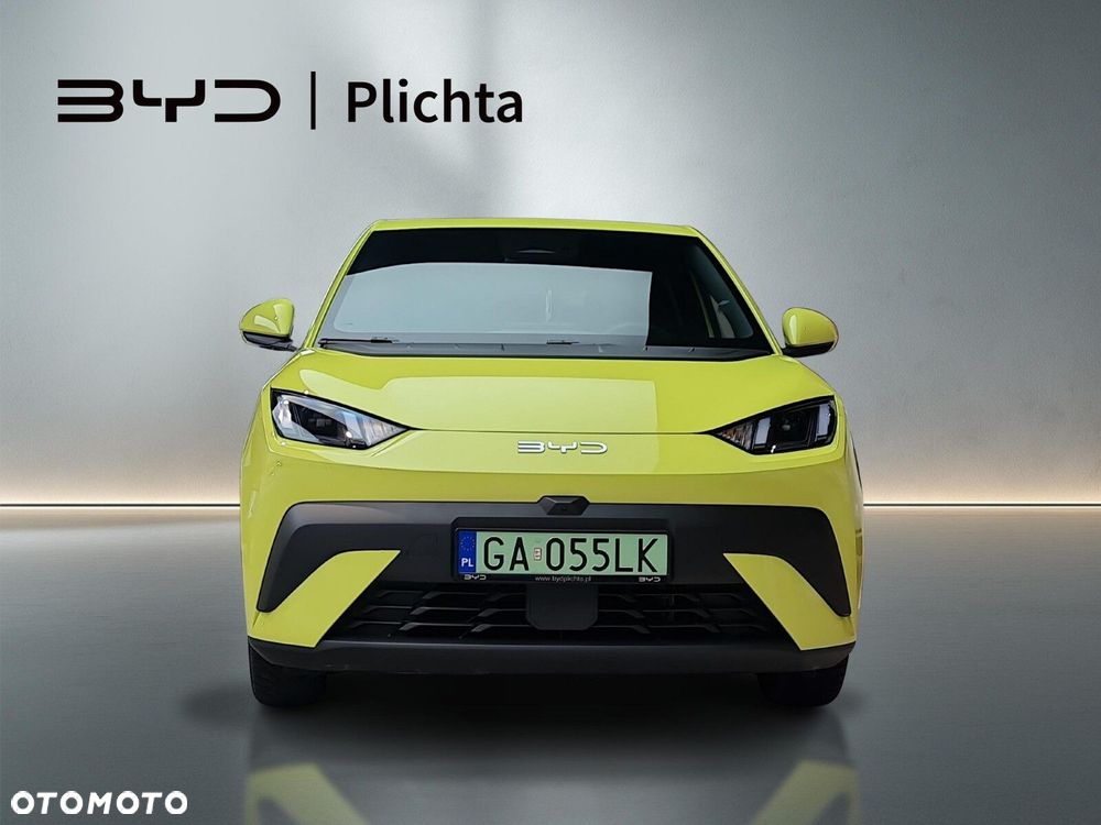 BYD Dolphin Surf - 9