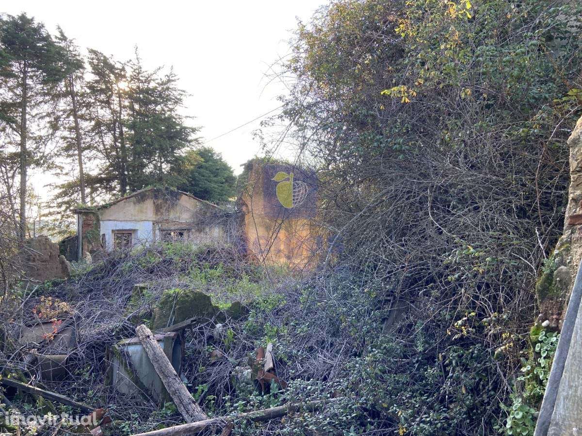 Terreno Salir de Matos - Grande imagem: 3/13