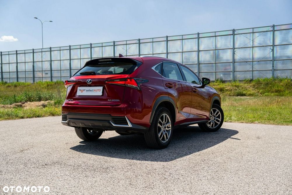 Lexus NX 300h Business Edition AWD - 7