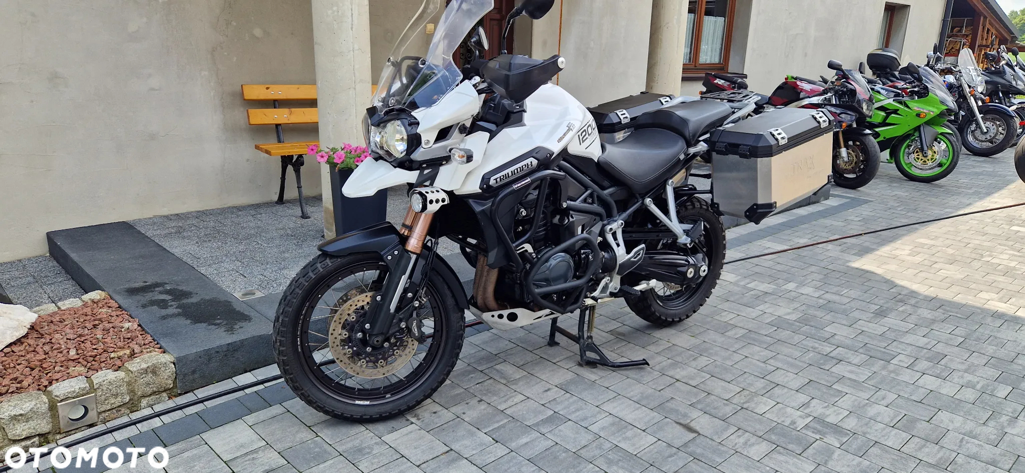 Triumph Tiger - 21