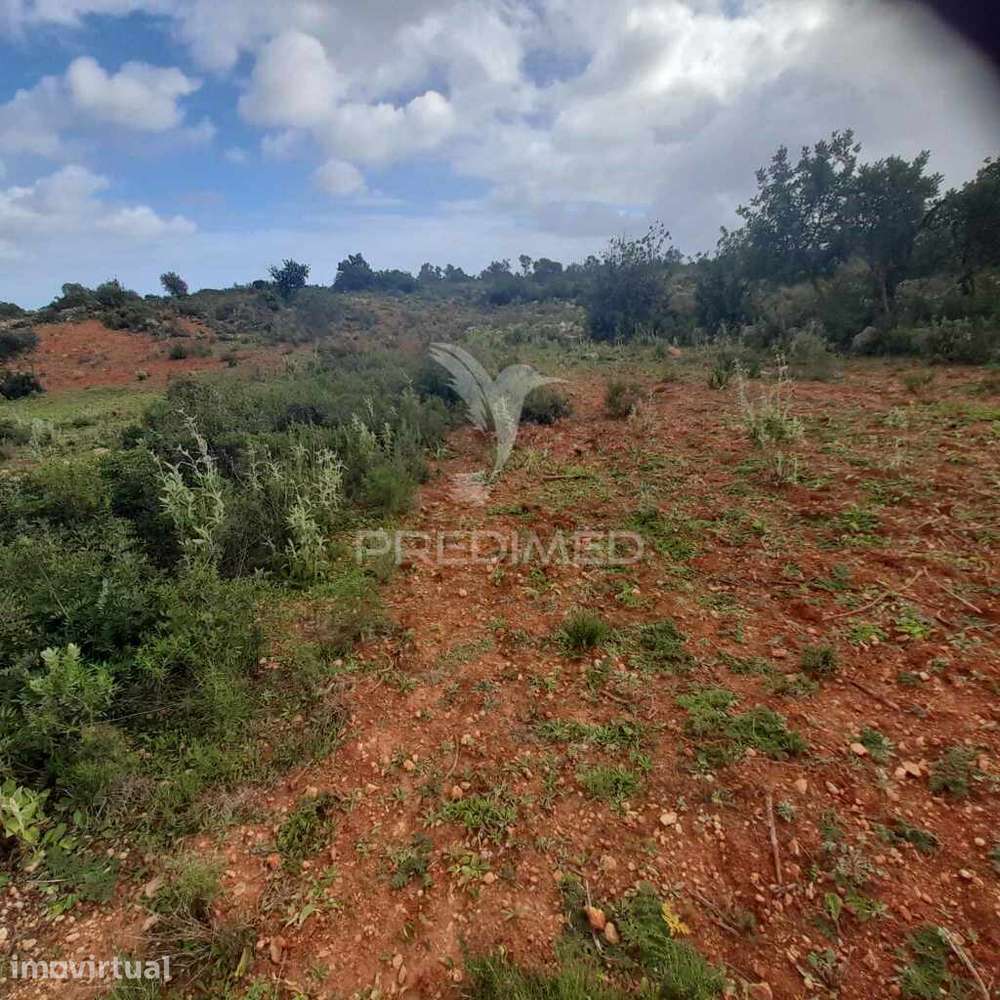 4 terrenos Rústicos  Alecrineira-Cerro Azul - Grande imagem: 3/11
