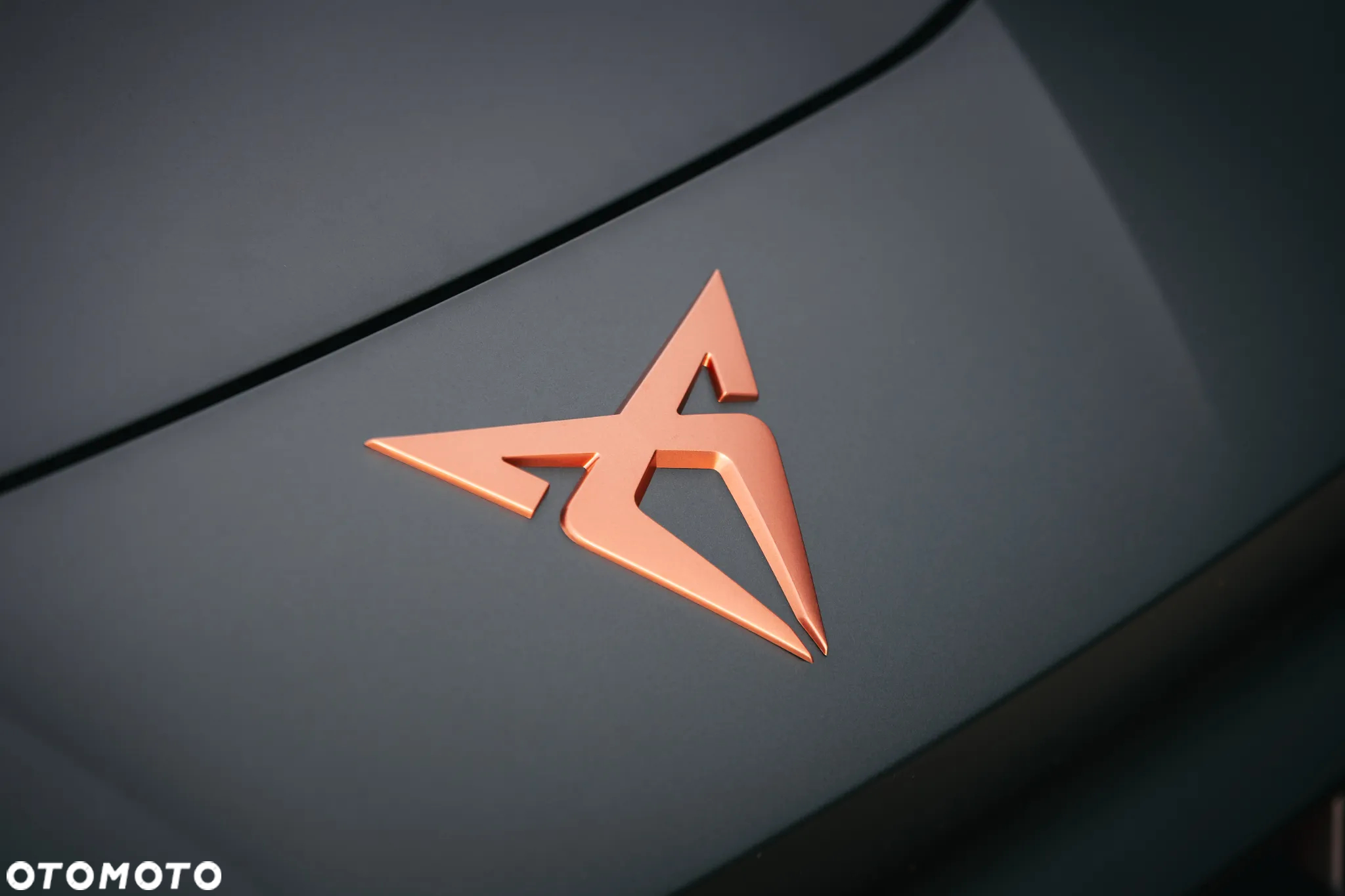 Cupra Terramar 2.0 TSI 4Drive VZ DSG - 3