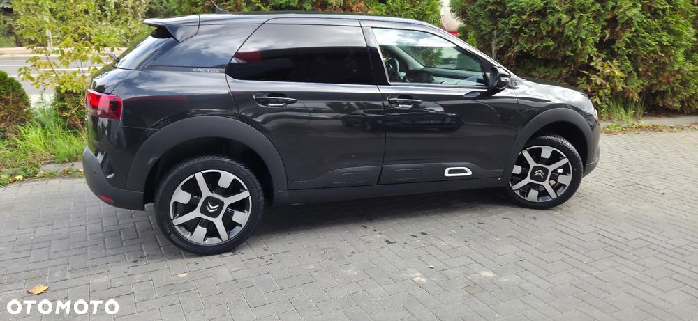 Citroën C4 Cactus PureTech 110 Stop&Start EAT6 Origins - 16