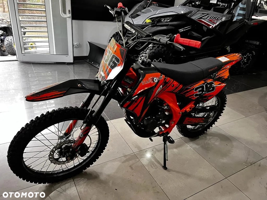Diabolini Inny - 17