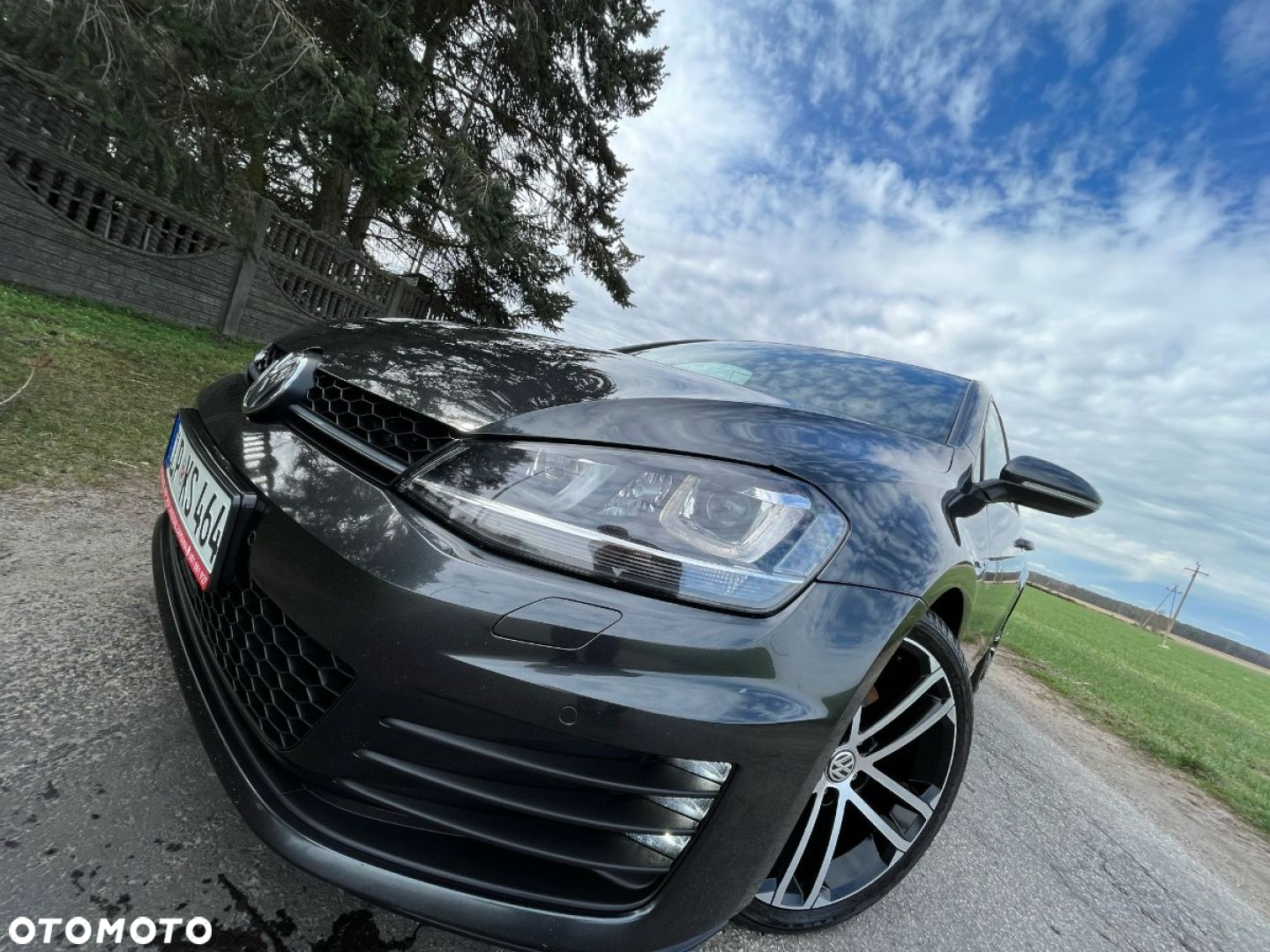 Volkswagen Golf - 39