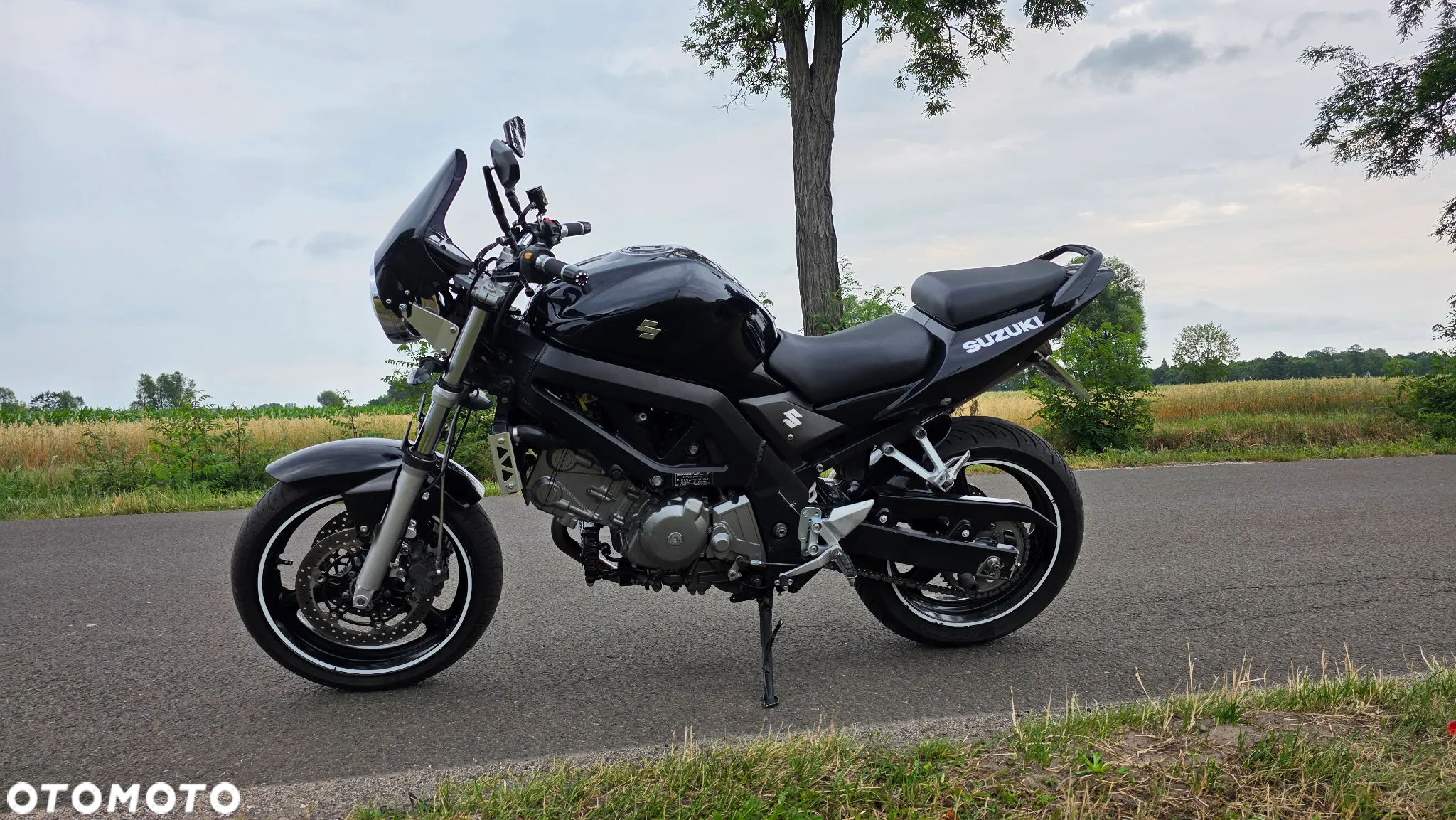 Suzuki SV - 5