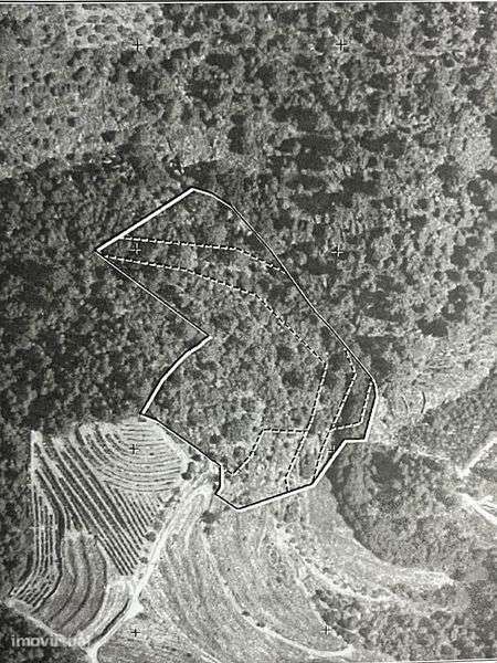 Terreno  agrícola - Grande imagem: 3/6