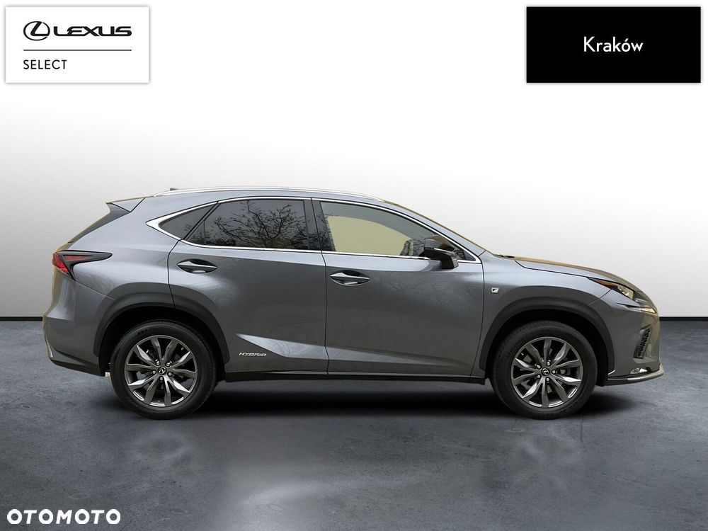 Lexus NX 300h F Sport Edition AWD - 6