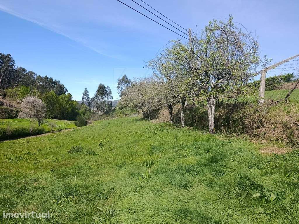 Moradia Habitável. - Grande imagem: 5/24