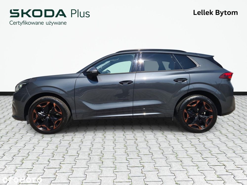 Cupra Terramar - 10