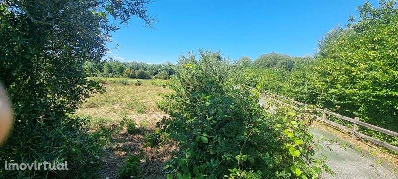 Terreno com 2510m² - Grande imagem: 3/4