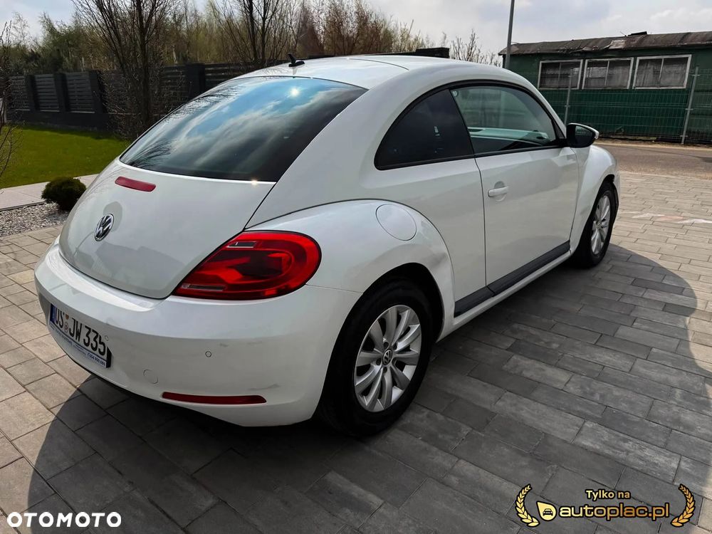 Volkswagen Beetle - 20