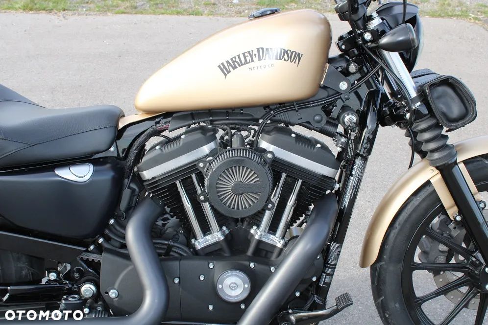 Harley-Davidson Sportster Iron 883 - 12
