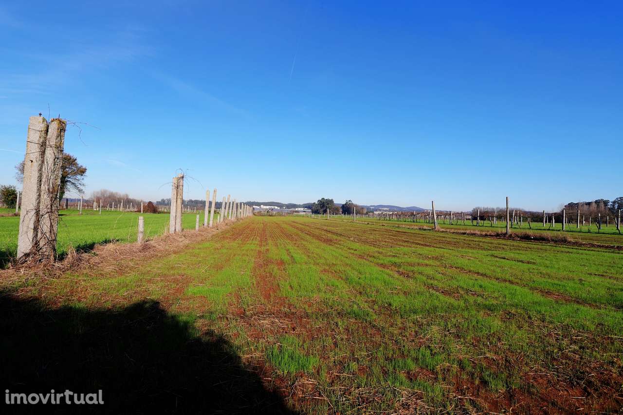 Terreno  Venda em Bougado (São Martinho e Santiago),Trofa - Grande imagem: 5/8