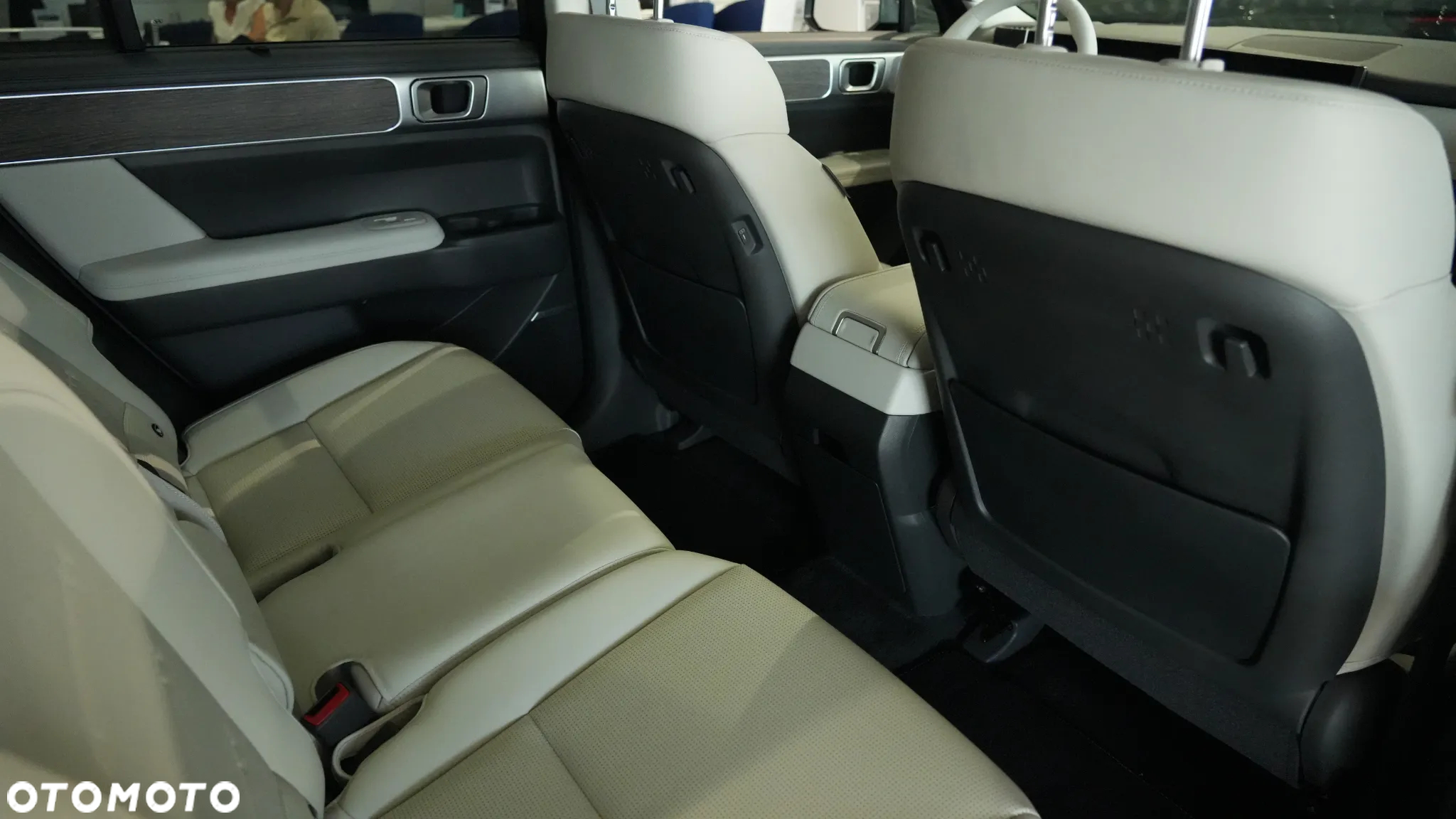 Hyundai Santa Fe - 14