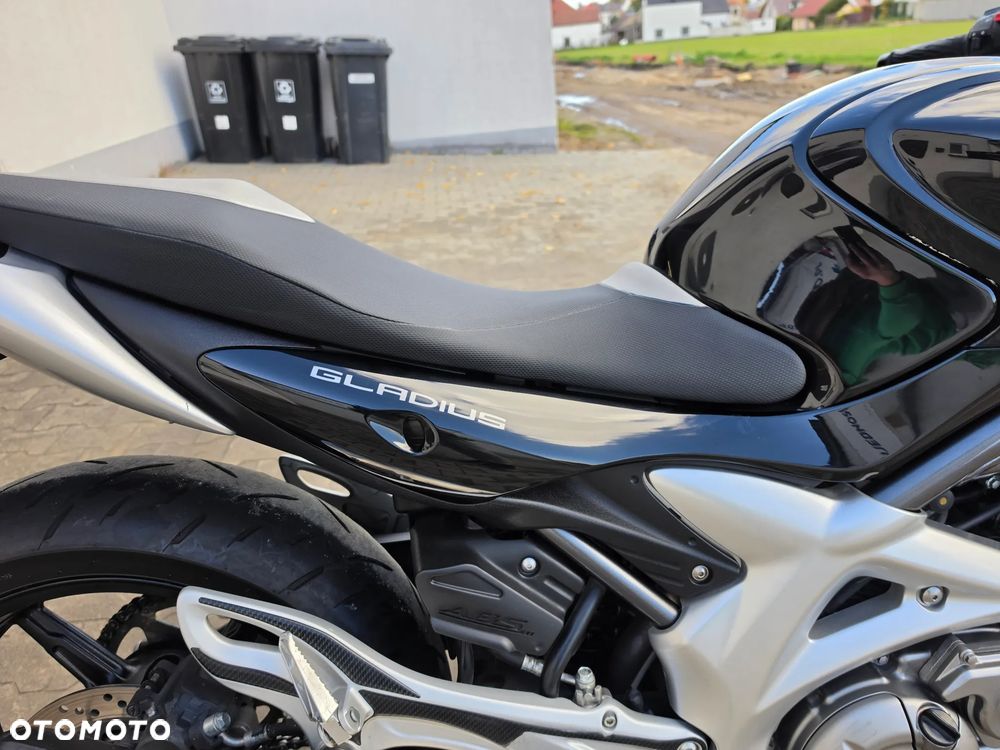 Suzuki Gladius - 22
