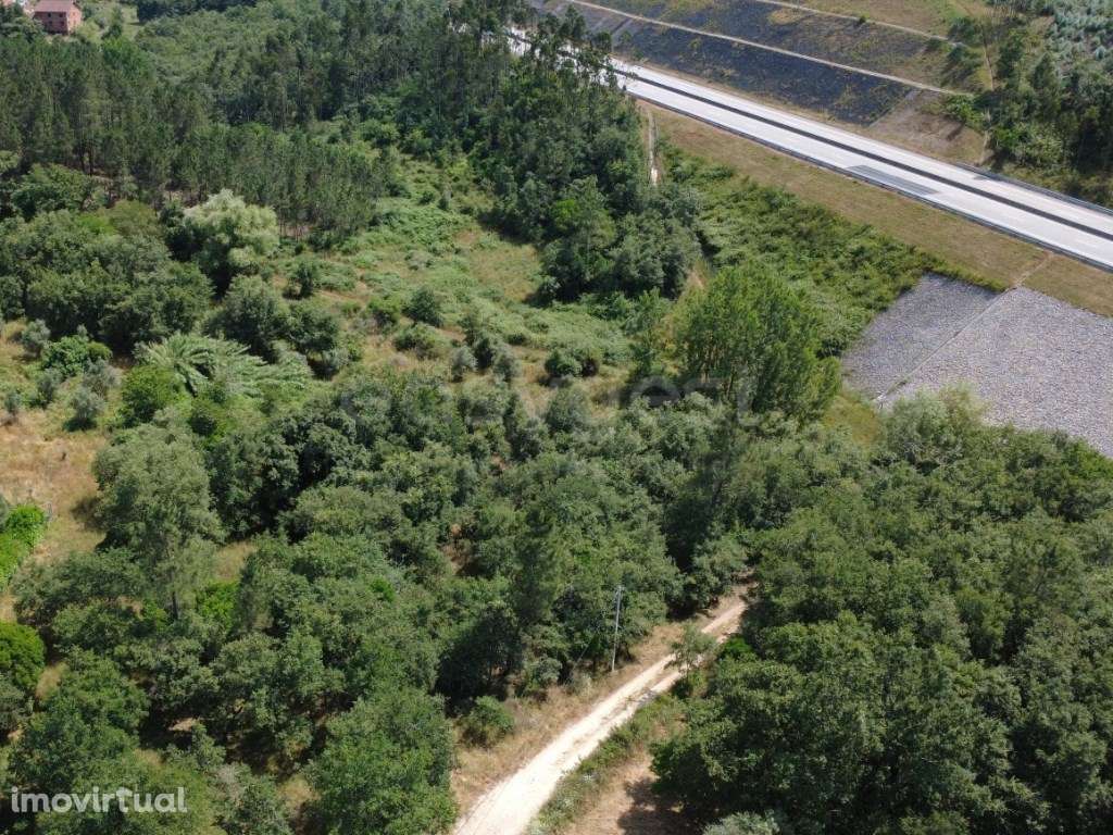 Venda conjunta ou em separado de dois terrenos urbanos - Grande imagem: 5/17