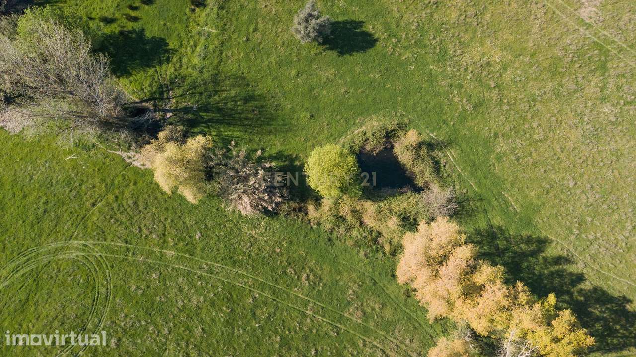 Terreno Mourão - Alentejo - Grande imagem: 3/11