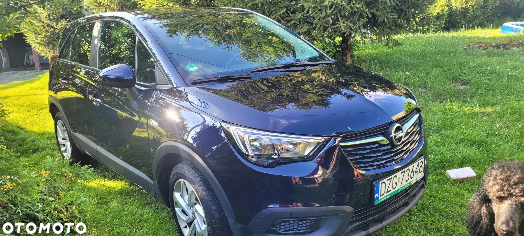 Opel Crossland X 1.2 T Eco Enjoy S&S - 17