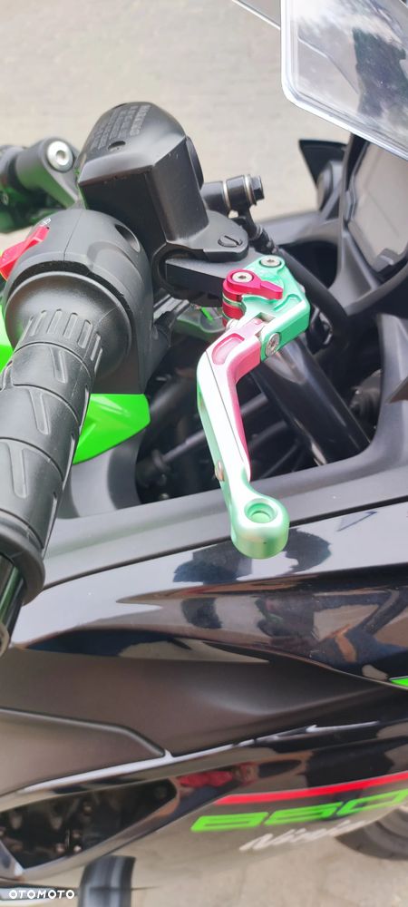 Kawasaki Ninja - 6