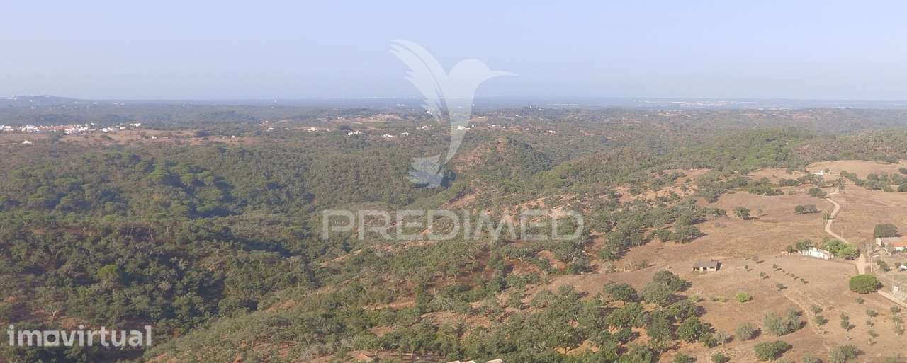 Terreno de 3,5 hectares com ruina a poucos minutos de Melides - Grande imagem: 5/11