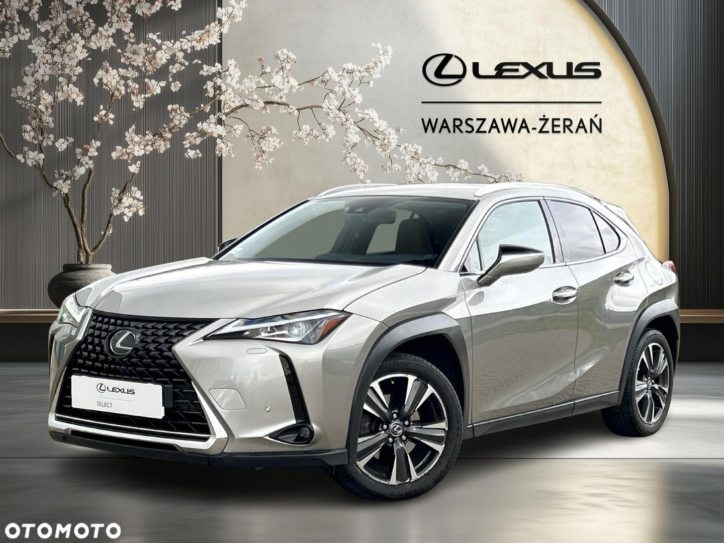 Lexus UX 200 Optimum 2WD - 2