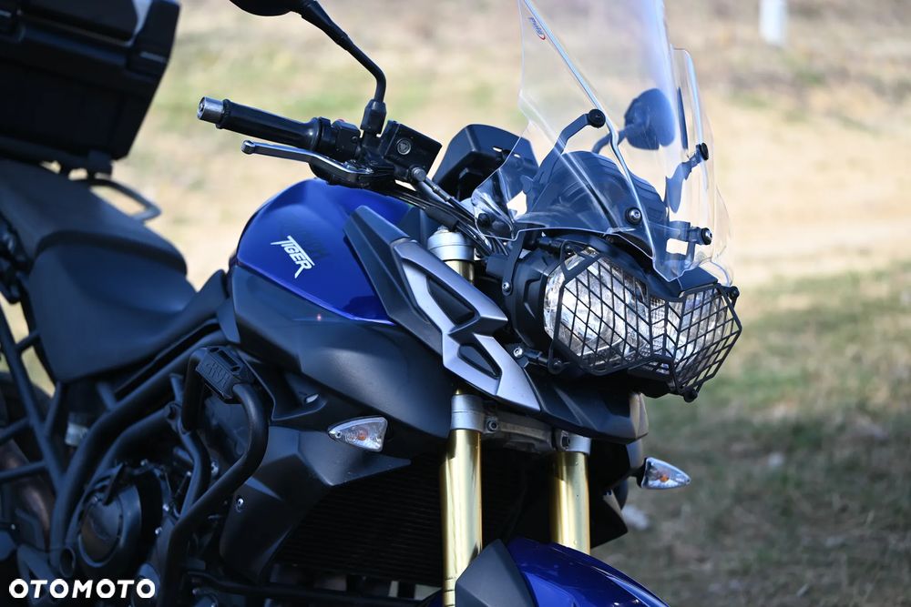 Triumph Tiger - 17