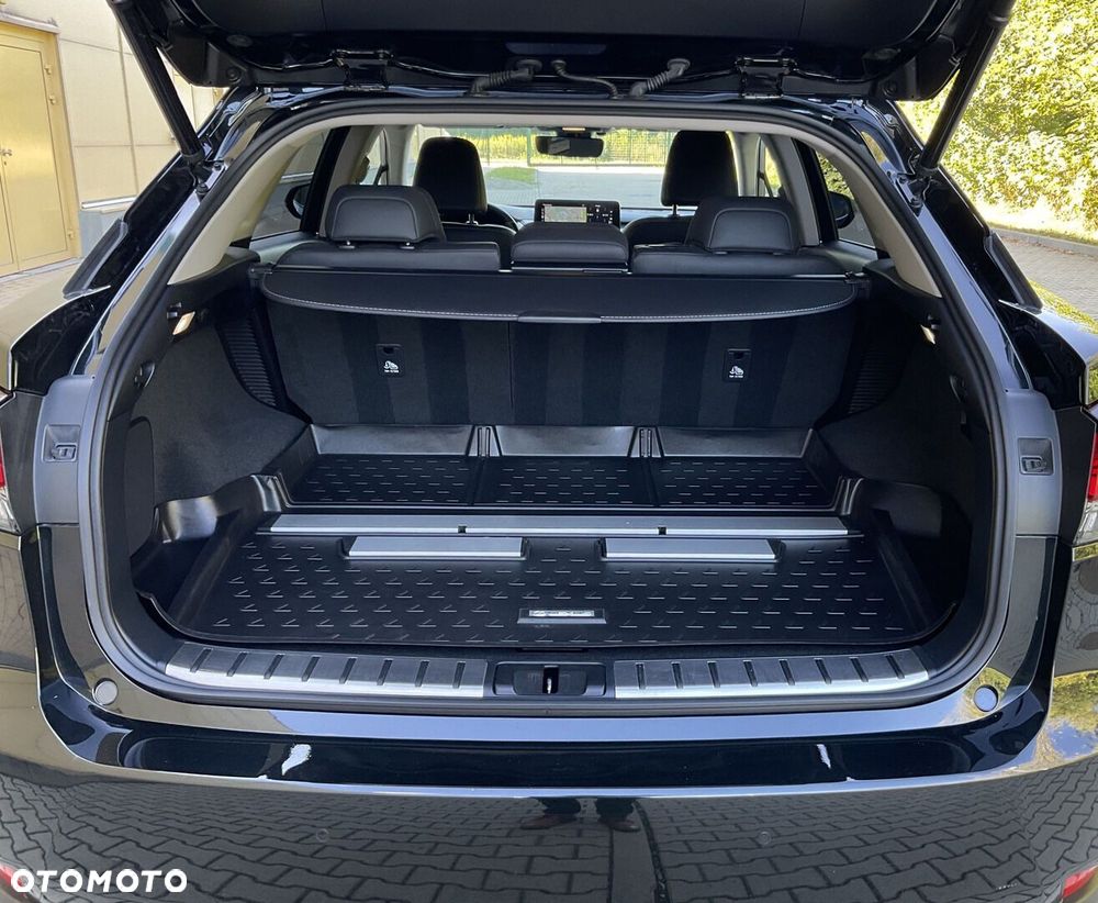 Lexus RX 450h F-Impression - 15
