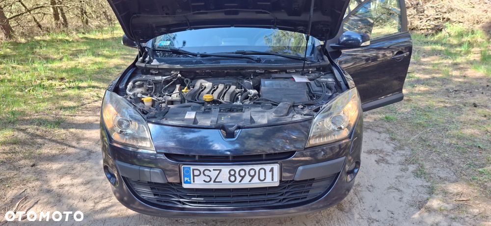 Renault Megane 1.6 16V Color Edition - 25