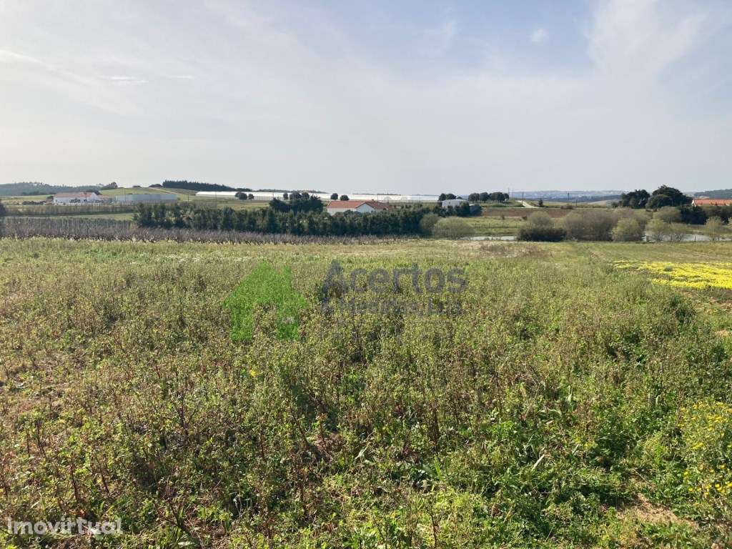 TERRENO - BARREIRA -BOMBARRAL - Grande imagem: 5/8