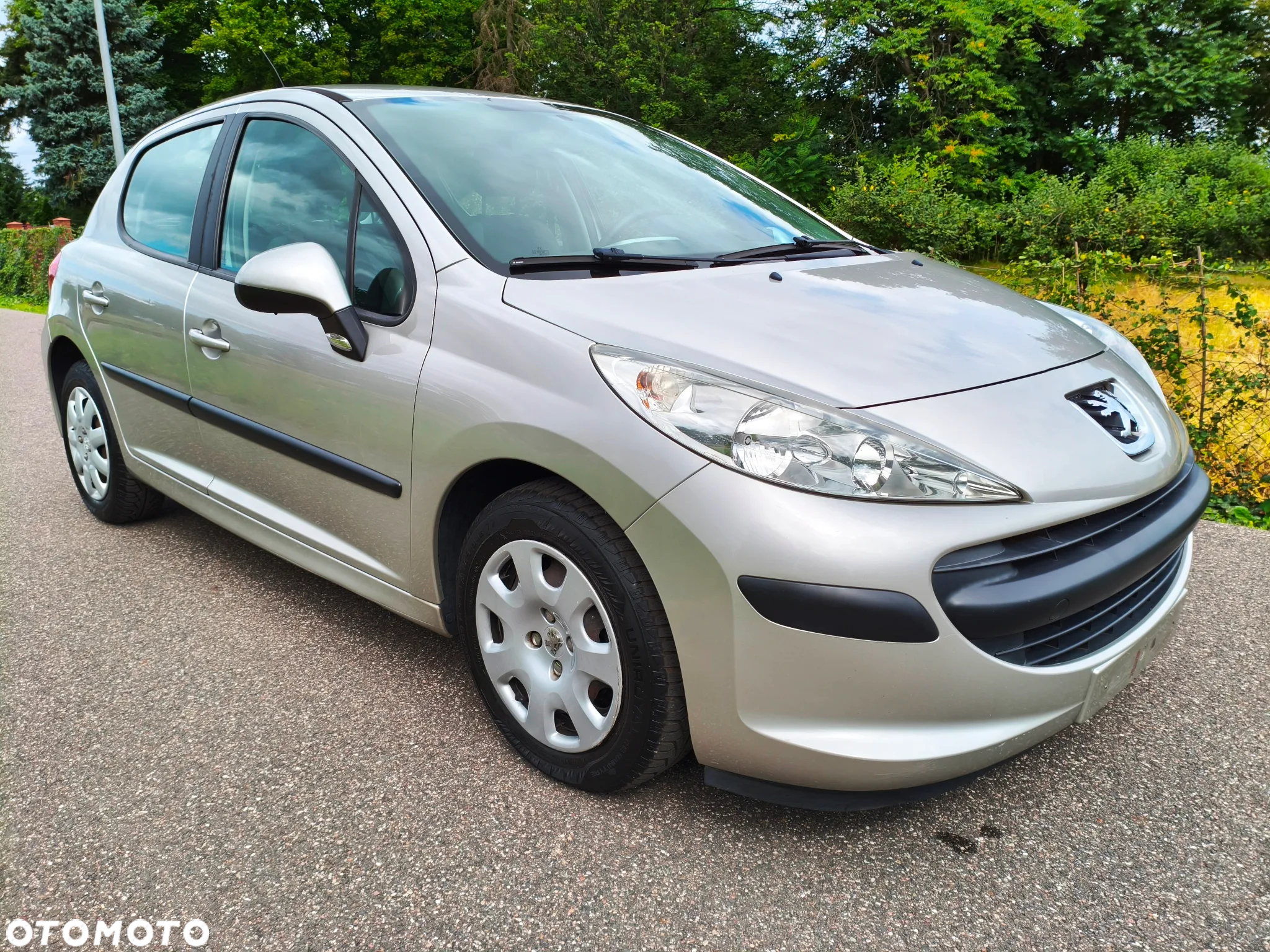 Peugeot 207 - 6