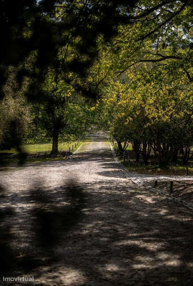Apartamento T2 para Arrendamento na Quinta de Cravel, Gaia - Grande imagem: 3/24