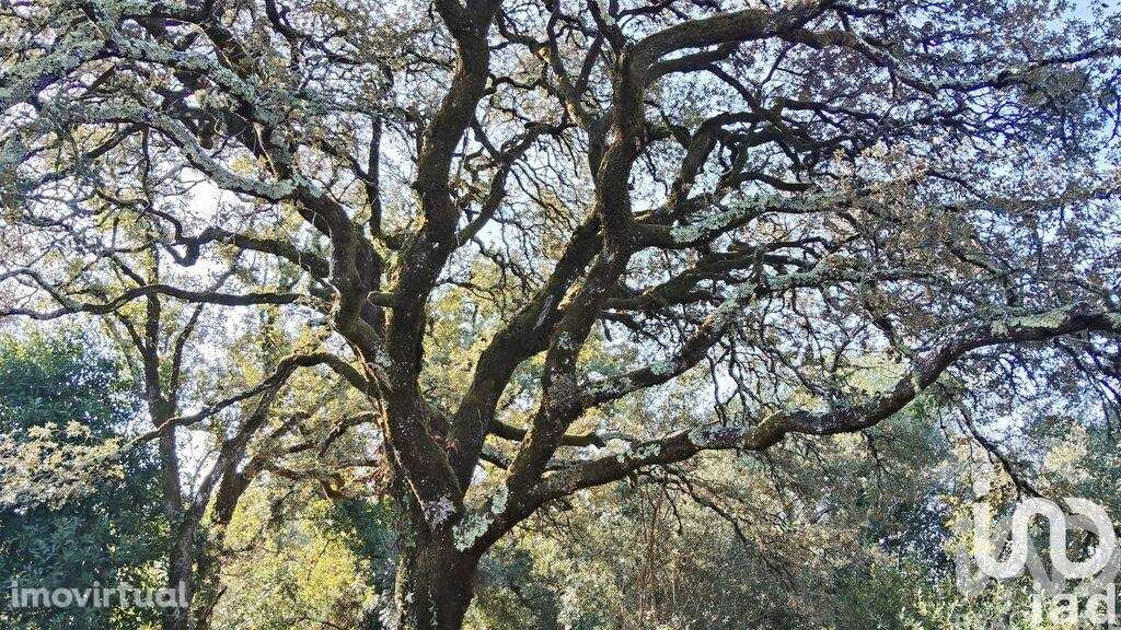 Casa / Villa em Pousaflores de 312 m2 - Grande imagem: 4/38