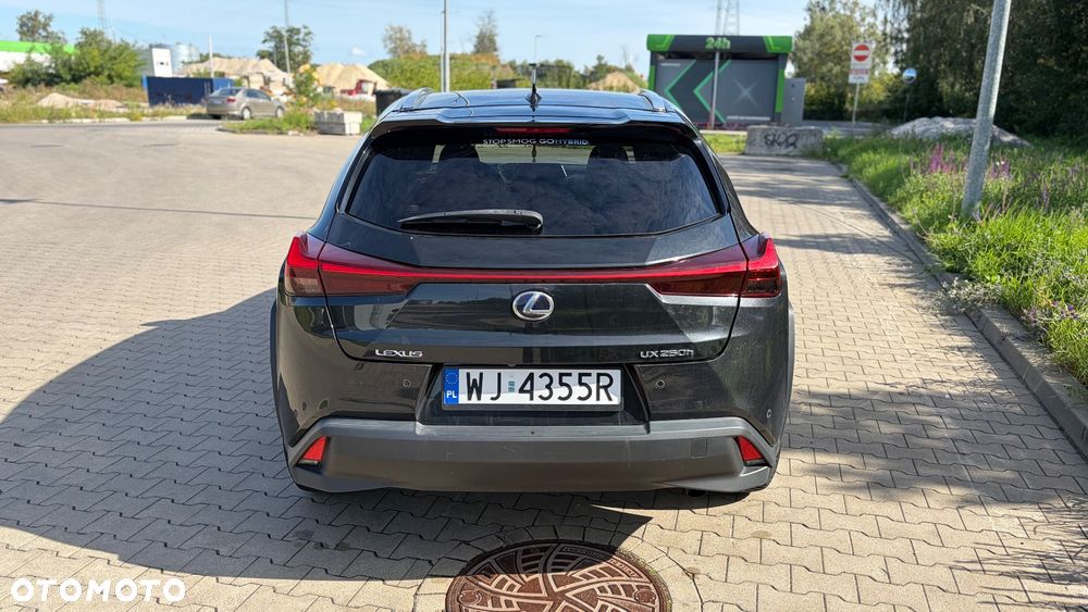 Lexus UX 250h Elegance 2WD - 5