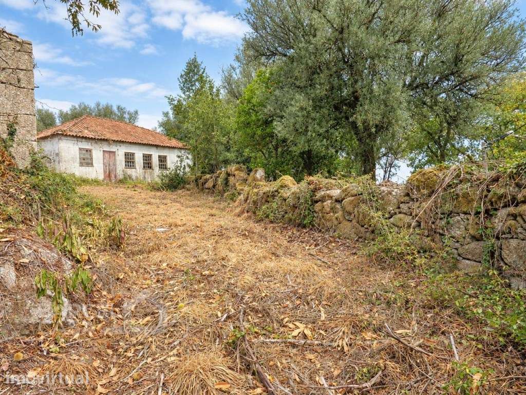 Moradia isolada para recuperar em Panque, Barcelos com terreno de 4... - Grande imagem: 5/12