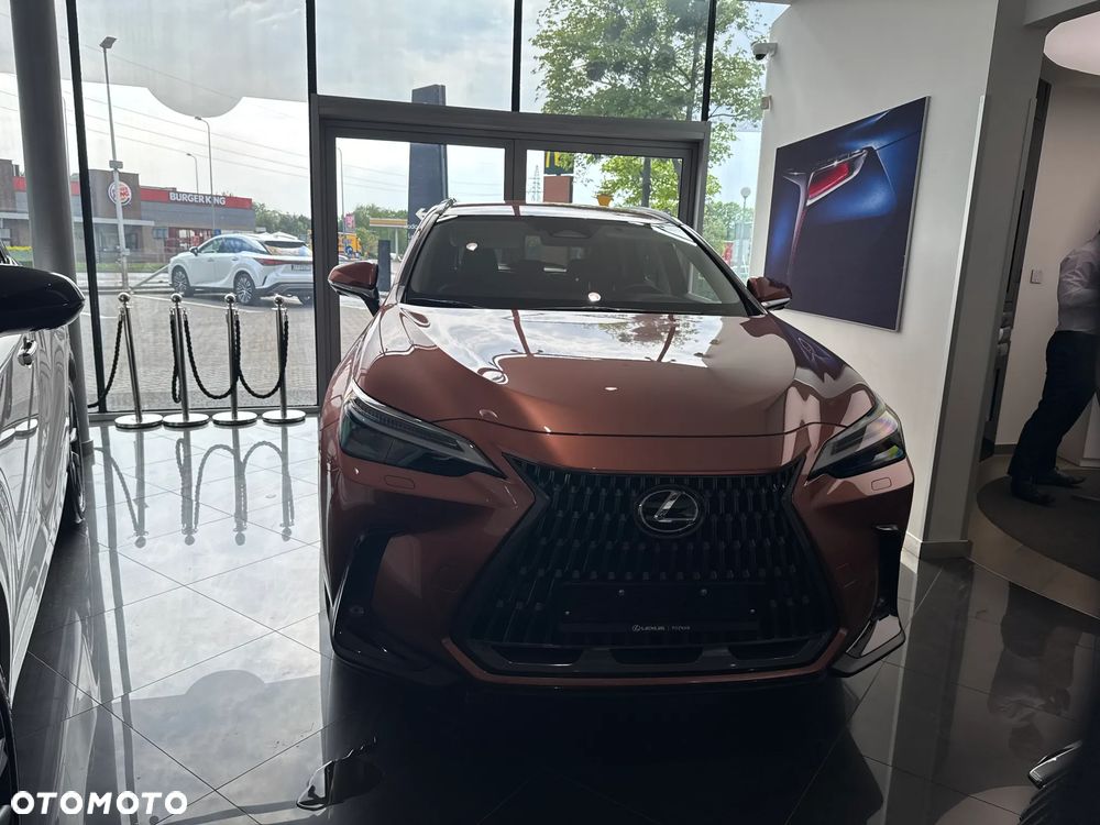 Lexus NX - 31