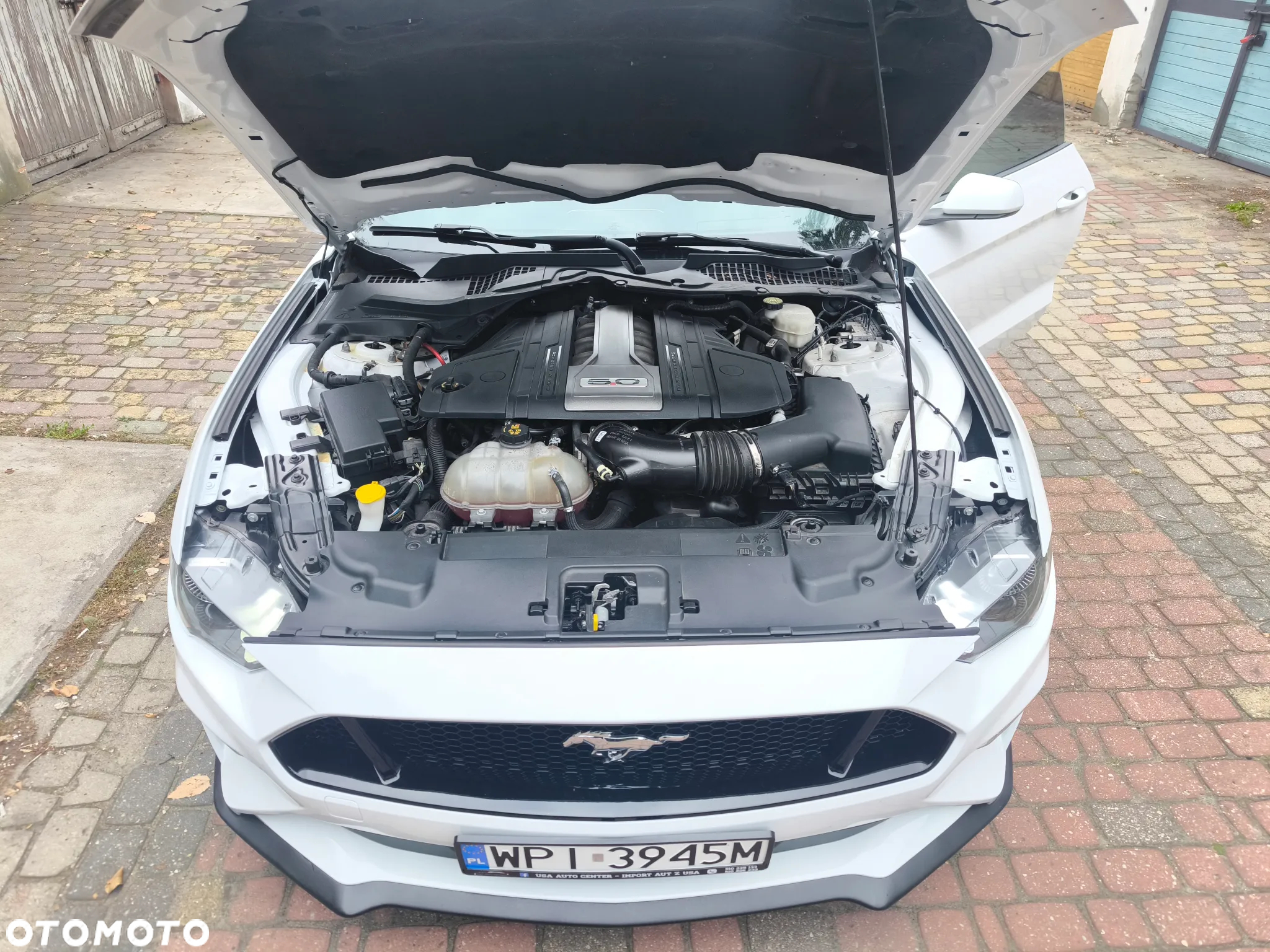 Ford Mustang - 19