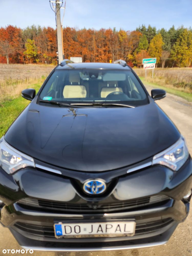 Toyota RAV4 Hybrid Prestige 4x2 - 13