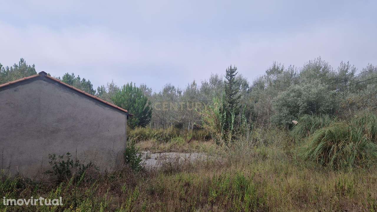 Terreno com grandes dimensões às portas de Condeixa - Grande imagem: 3/15