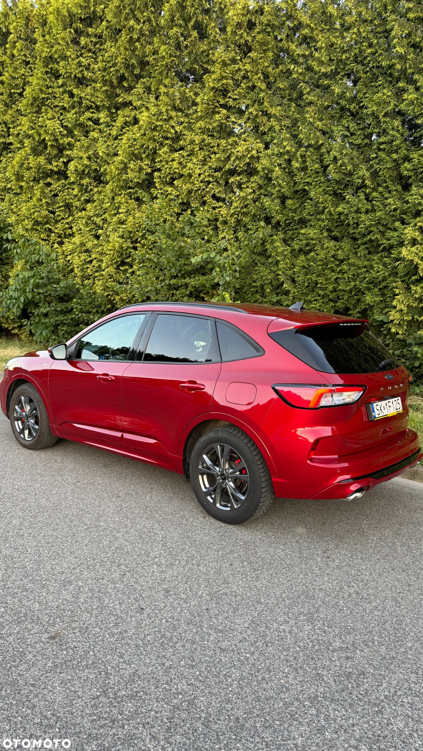 Ford Kuga 2.5 FHEV FWD ST-Line - 6