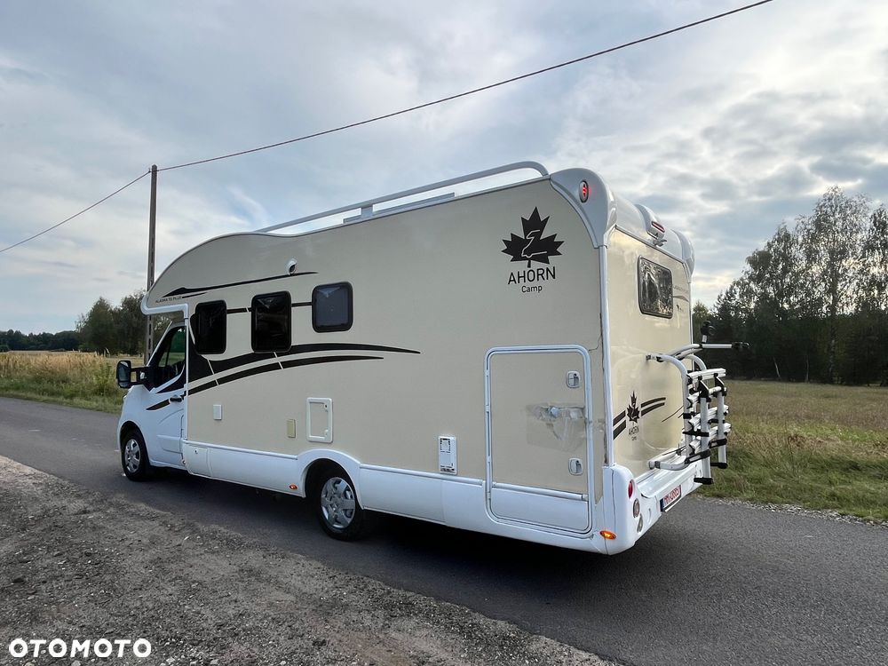 Renault Ahorn Alaska TD Plus 2018r - 33