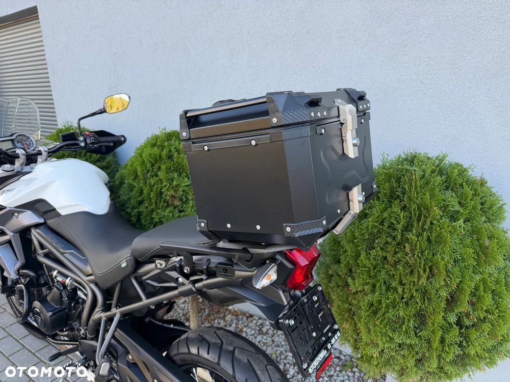Triumph Tiger - 40