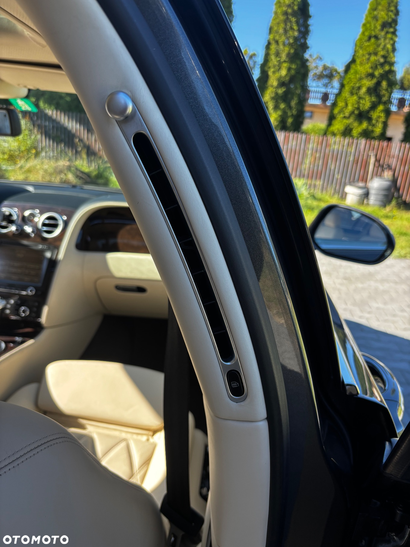 Bentley Flying Spur Continental Speed - 24