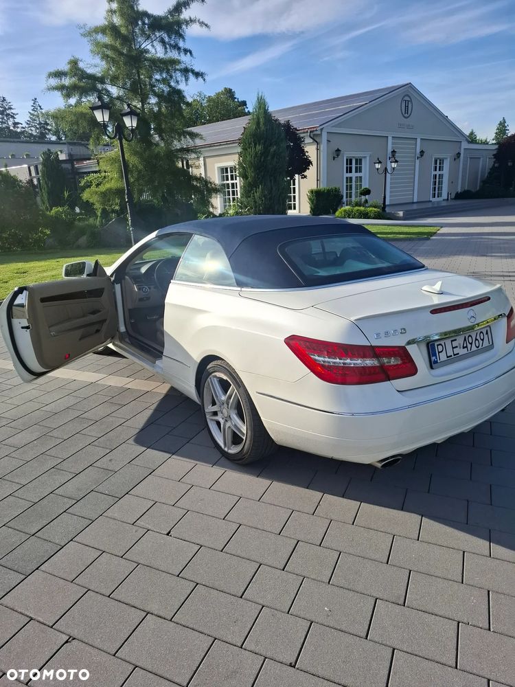 Mercedes-Benz Klasa E 350 Classic Sport Edition AMG - 12