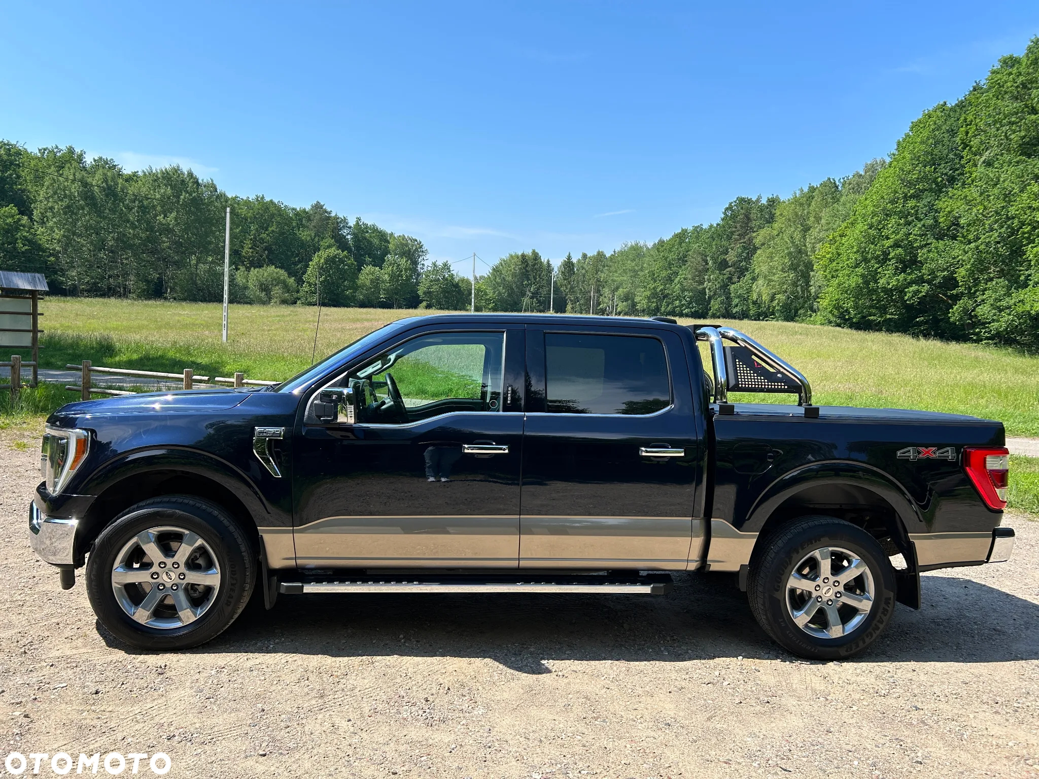 Ford F150 - 10
